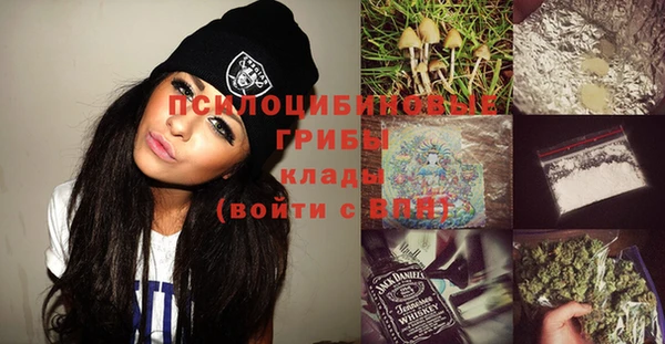 мет Карпинск