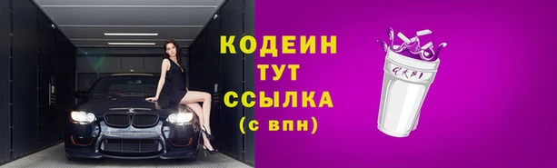 мет Карпинск