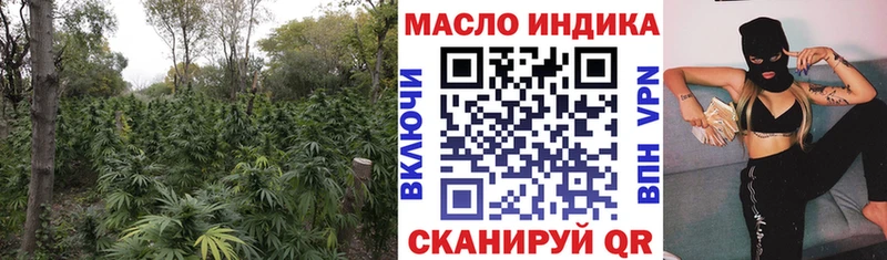 Купить закладки  Евпатория  ТГК Wax 