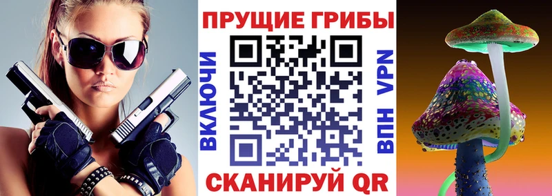 Купить  Евпатория  Галлюциногенные грибы Psilocybe 